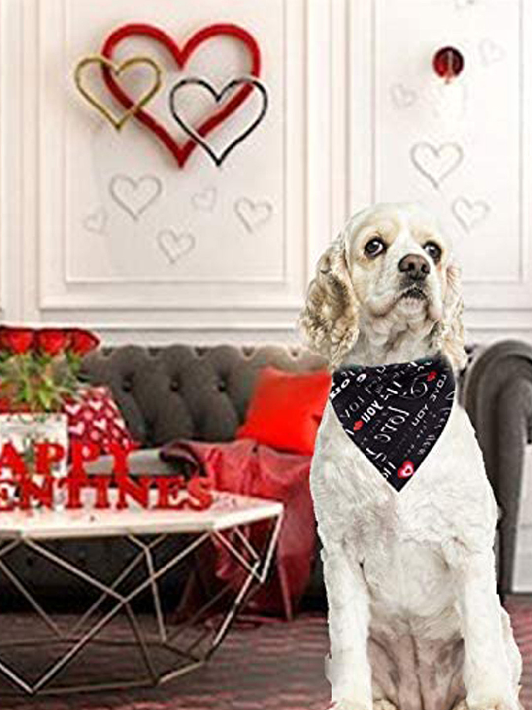 PAWCHIE Black & Red Printed Reversible Pet Bandanas