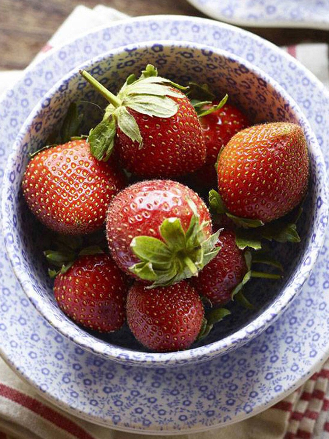 BURLEIGH Blue & White 1 Pieces Printed Earthen Clay Glossy Bowl