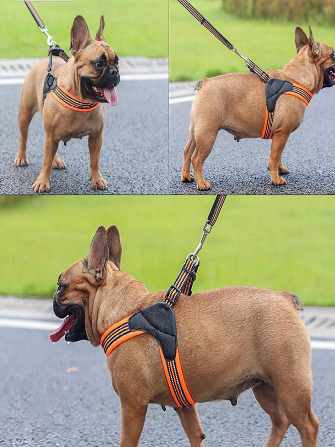 PAWCHIE Orange & Black Leather 3M Reflective Easy Control Pet Harness