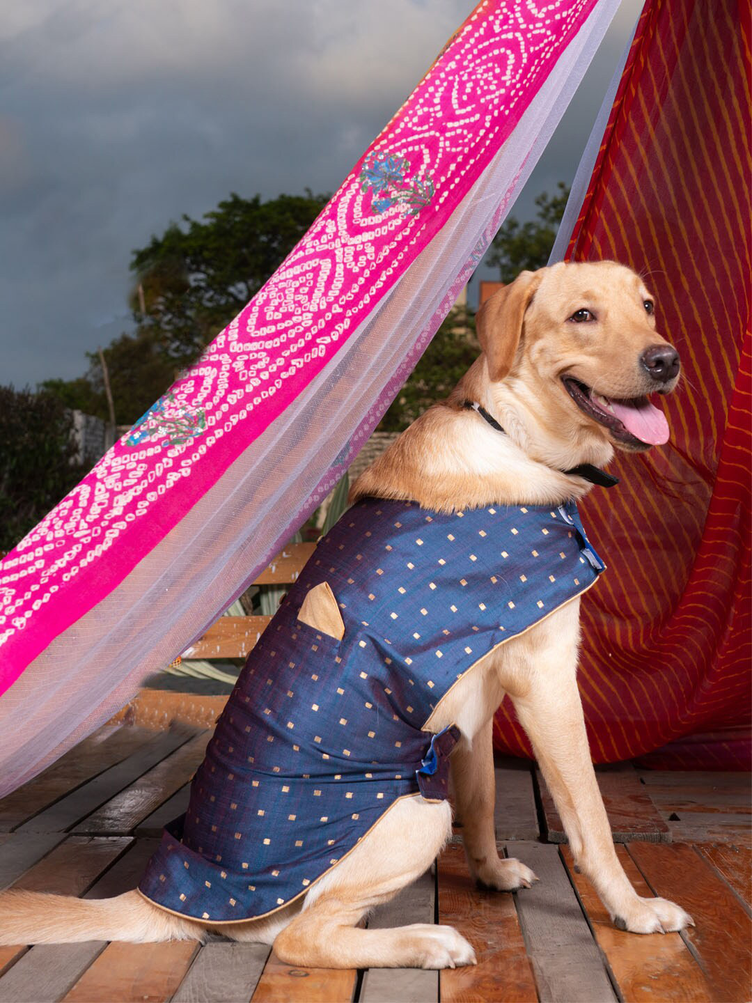 VASTRAMAY Dogs Blue And Gold Silk Blend Jacket