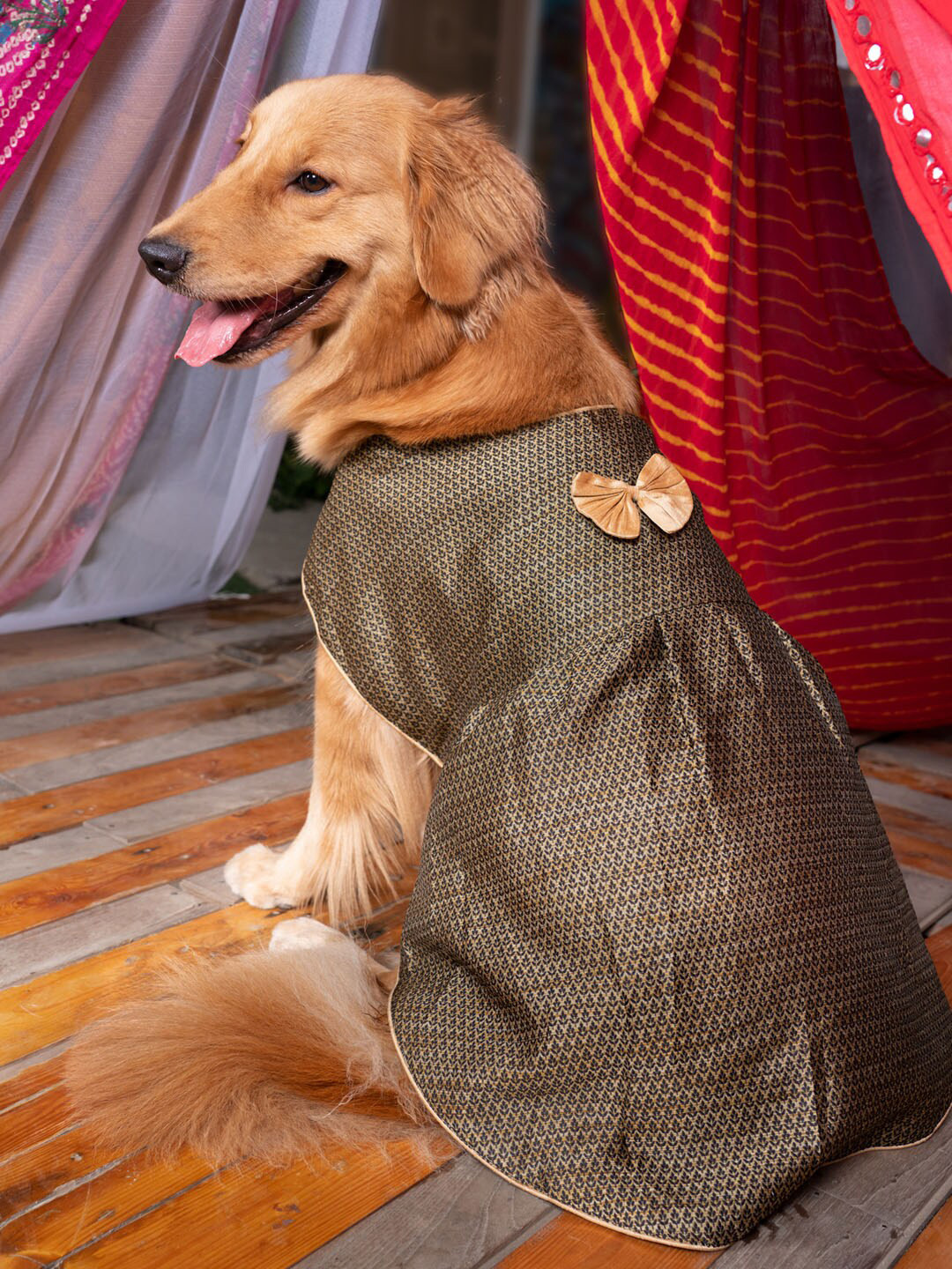 VASTRAMAY Black & Golden Self-Design Dog Dress