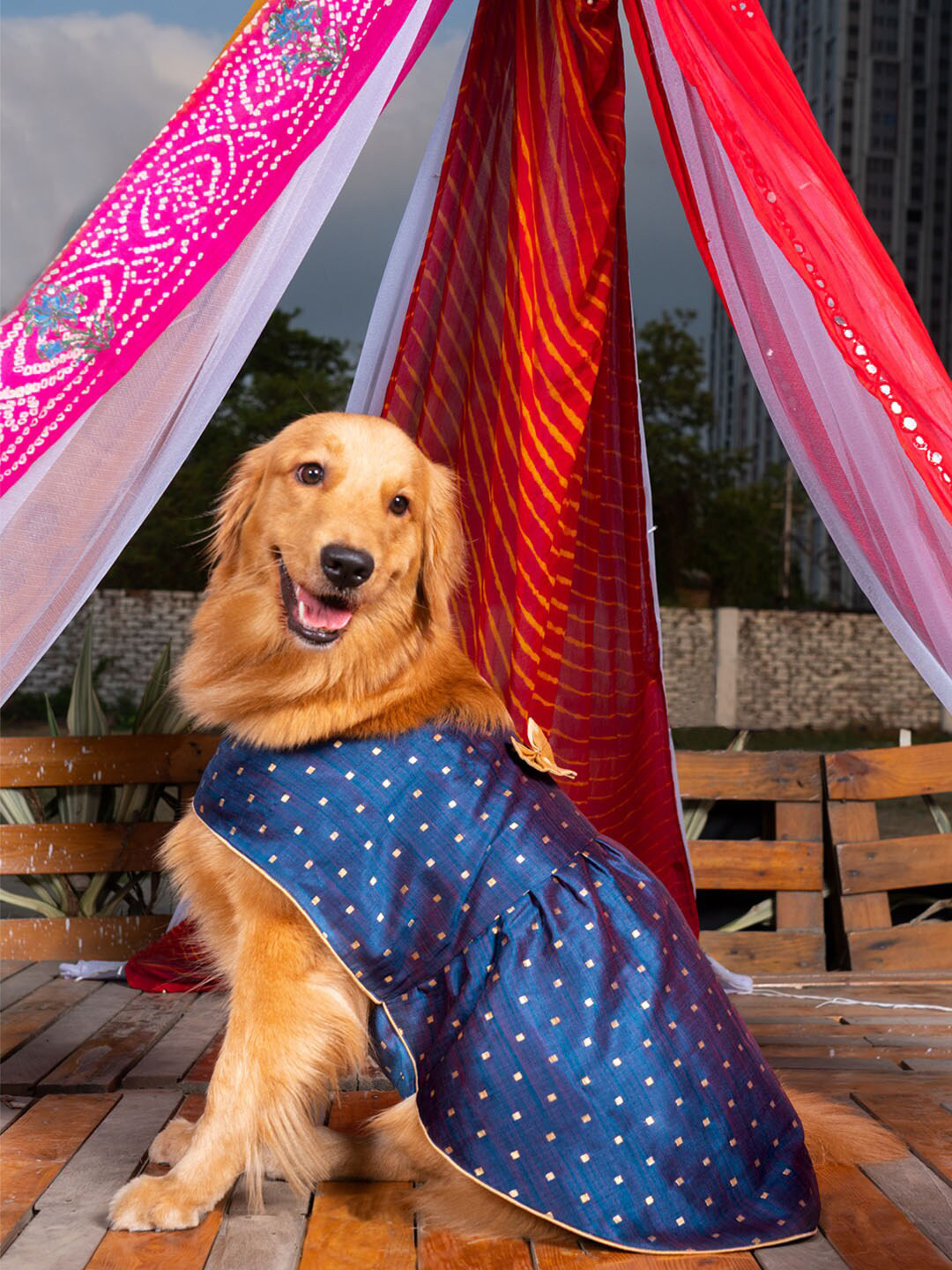 VASTRAMAY Blue & Gold Silk Blend Dog Dress