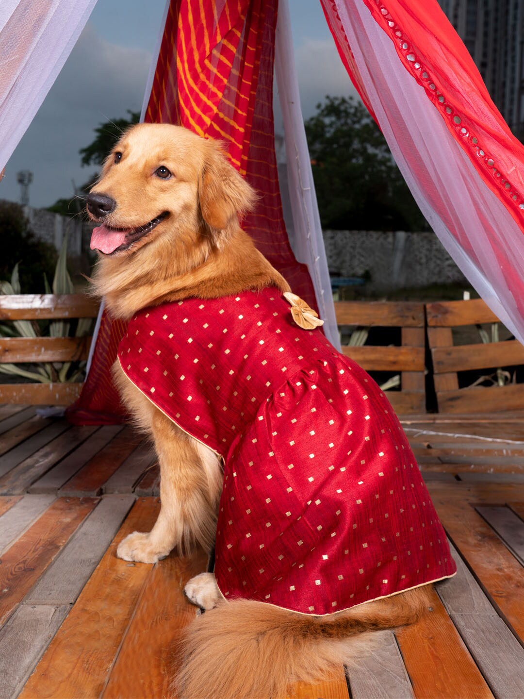 VASTRAMAY Maroon & Gold Self Design Dog Dress