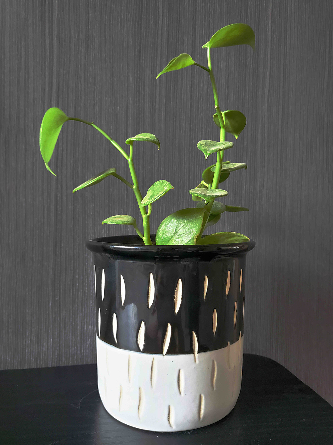 Folkstorys  Black & White Onyx Textured Ceramic Planters
