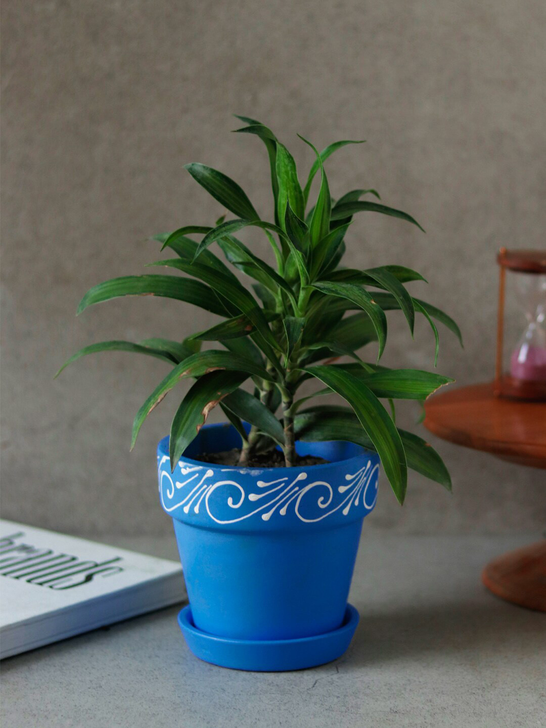 Unravel India Blue & White Swirl Motif Handpainted & Handmade Planters Pot With Tray