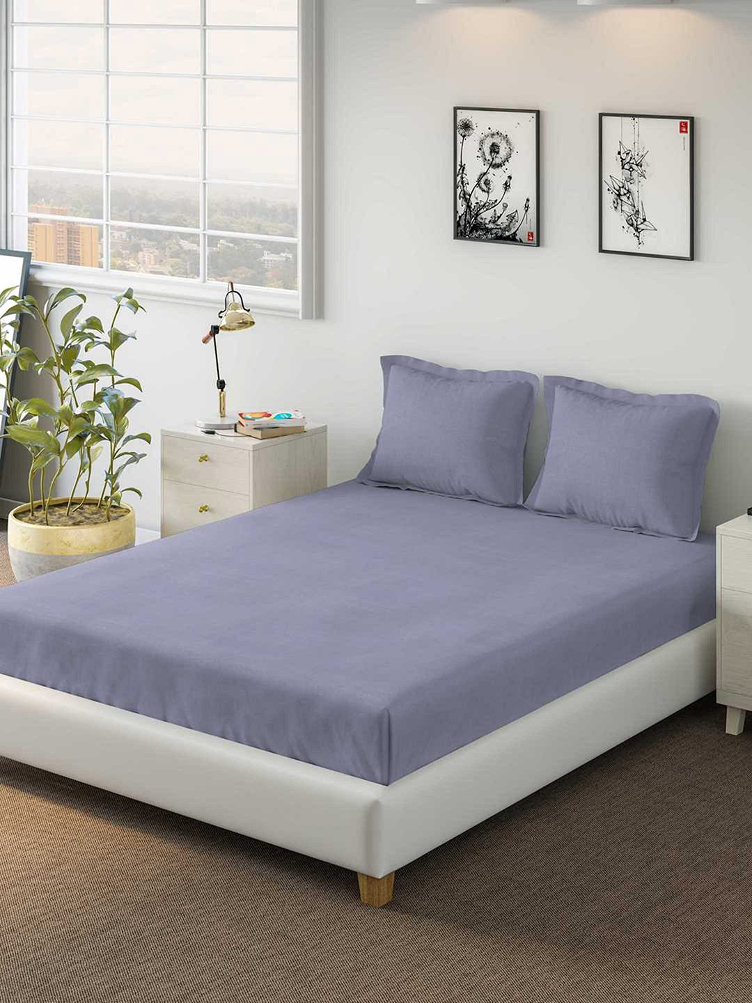 DDecor Purple 150 TC King Cotton Bedsheet with 2 Pillow Covers