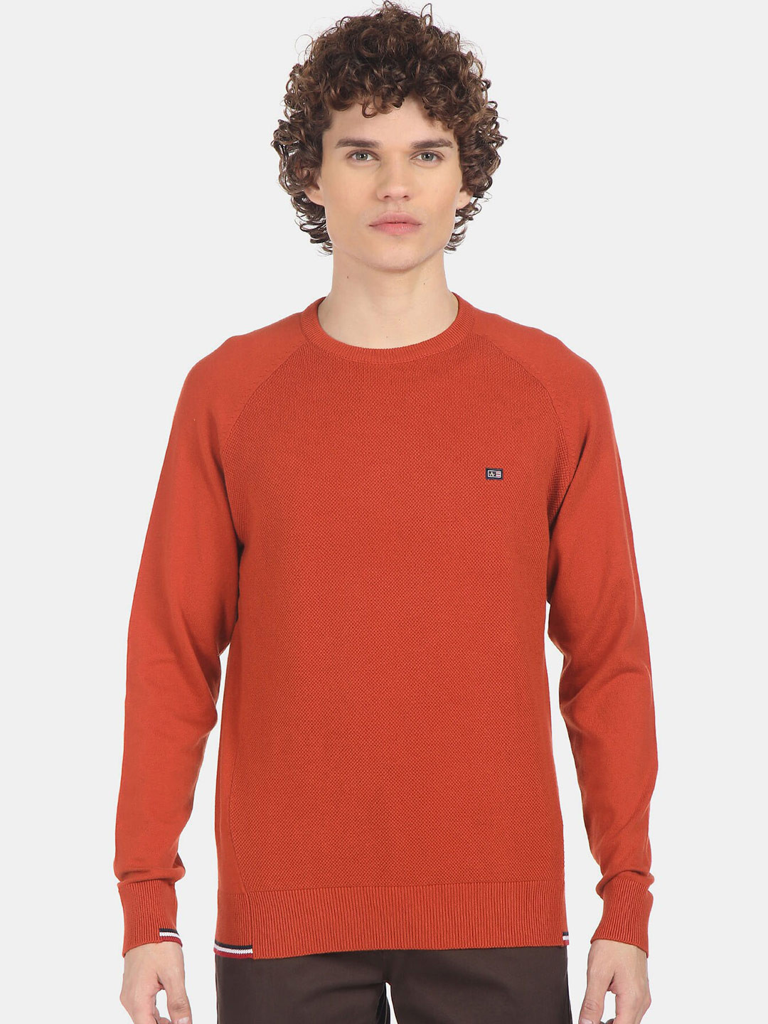 Arrow Sport Men Orange Sweaters