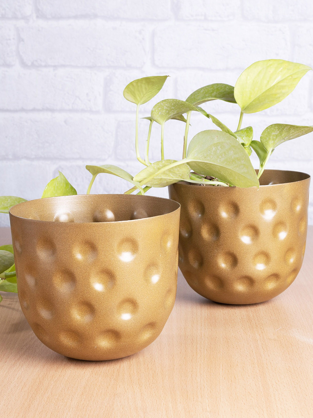 Homesake Set of 2 Gold-Toned Belly Bucket Planters