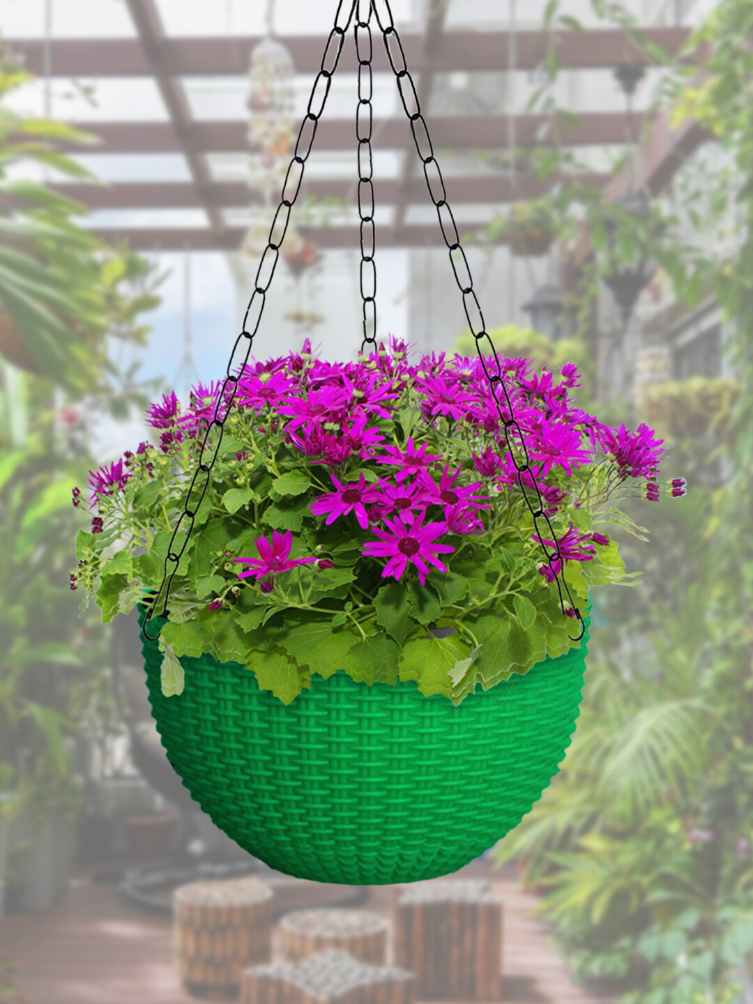 Kuber Industries Green Set of 3 Large Plastic Hanging Flower Pot