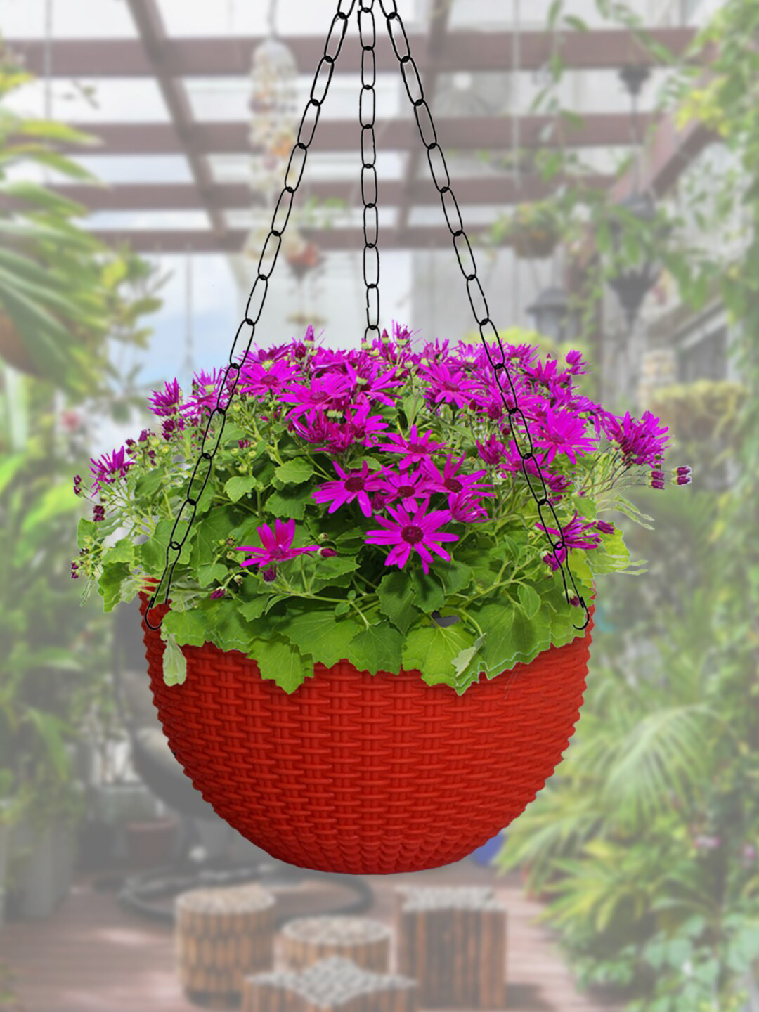 Kuber Industries Set of 3 Red Medium Plastic Hanging Flower Pots