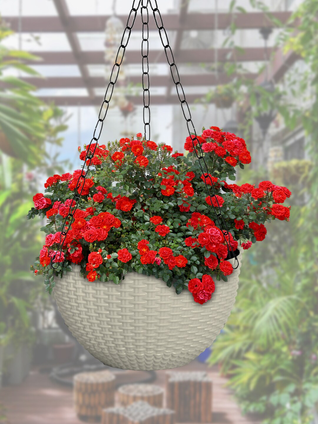 Kuber Industries Set Of 6 White Medium Plastic Hanging Flower Pot
