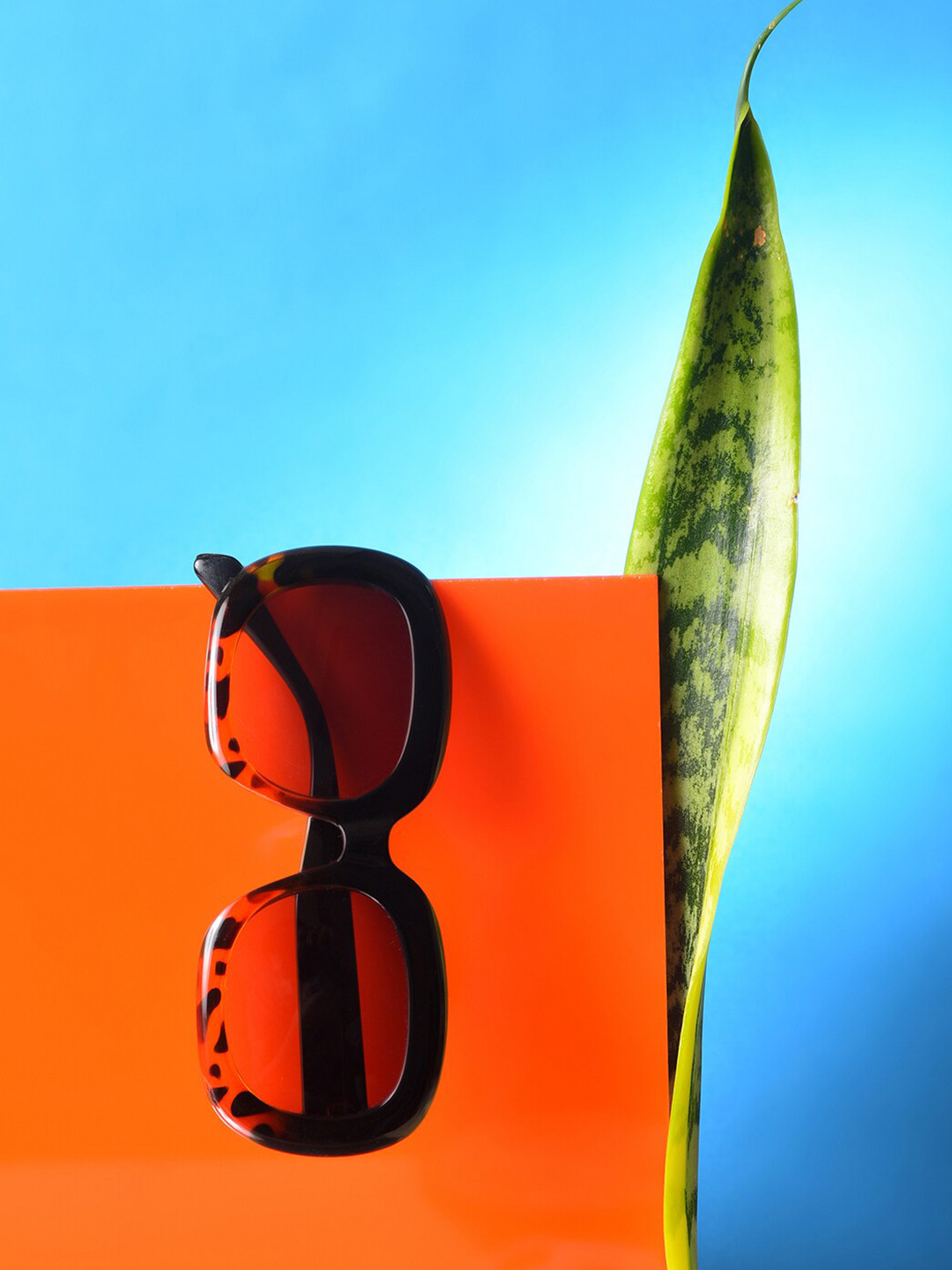 HAUTE SAUCE  Women Purple Lens & Printed Black Wayfarer Sunglass