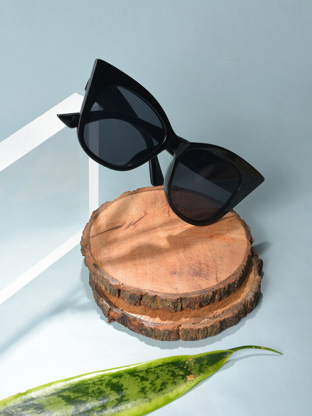 HAUTE SAUCE Women Black Lens & Black Cateye Sunglasses UV Protected Lens