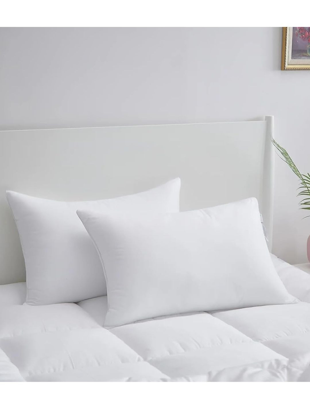Sleepsia Fiber_Pillow_2 White Solid Cotton Set of 2 Plush Fibre Sleep Pillow-71.12 x 43.18 x 0.1 cm