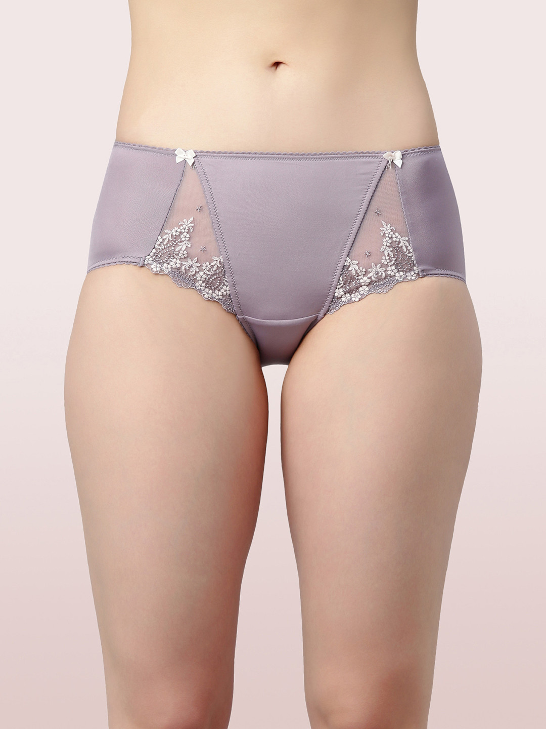 Enamor Women Lavender-Colored Solid Basic Briefs
