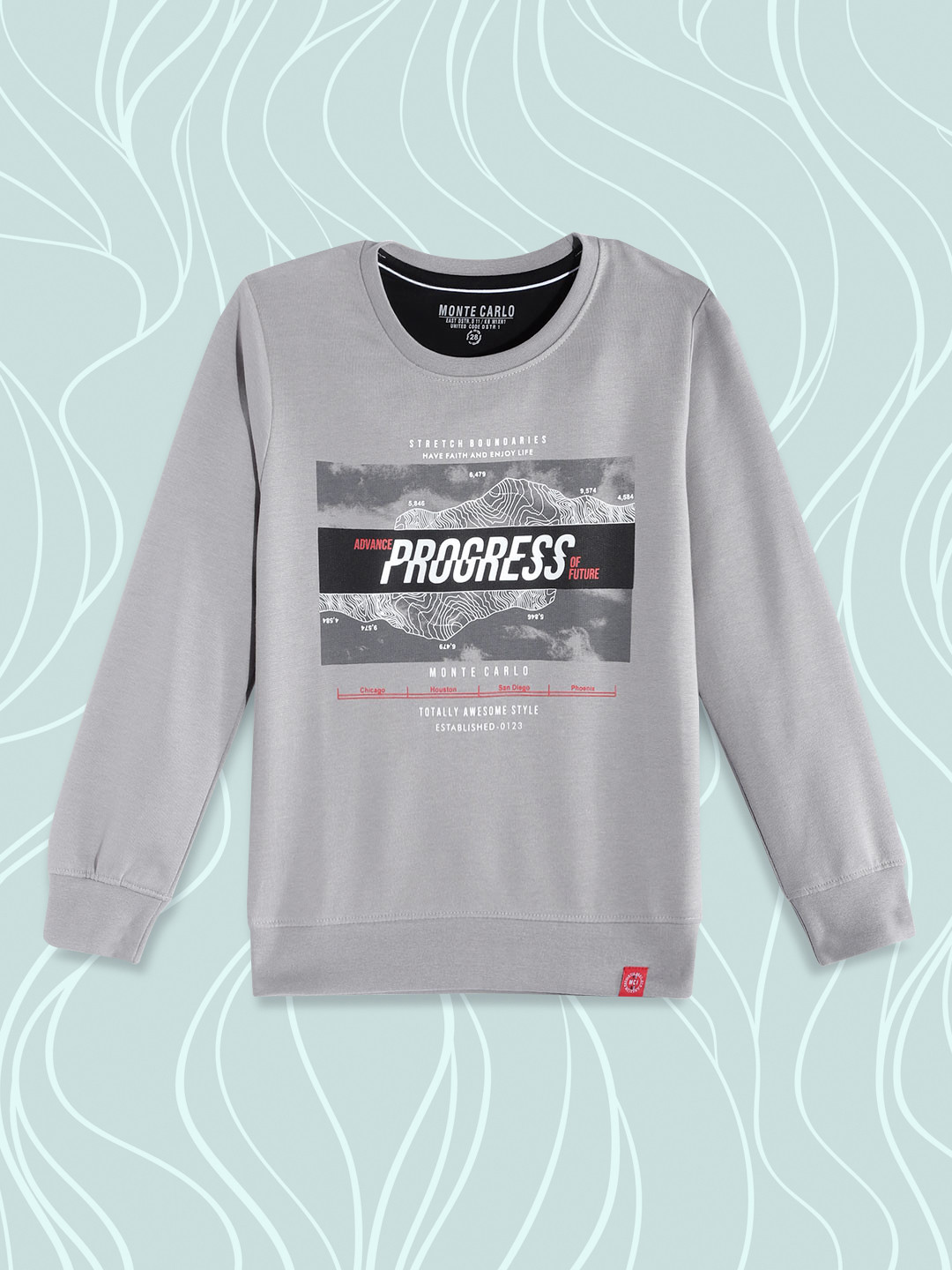 Monte Carlo Boys Grey & Black Graphic Printed Sweatshirt