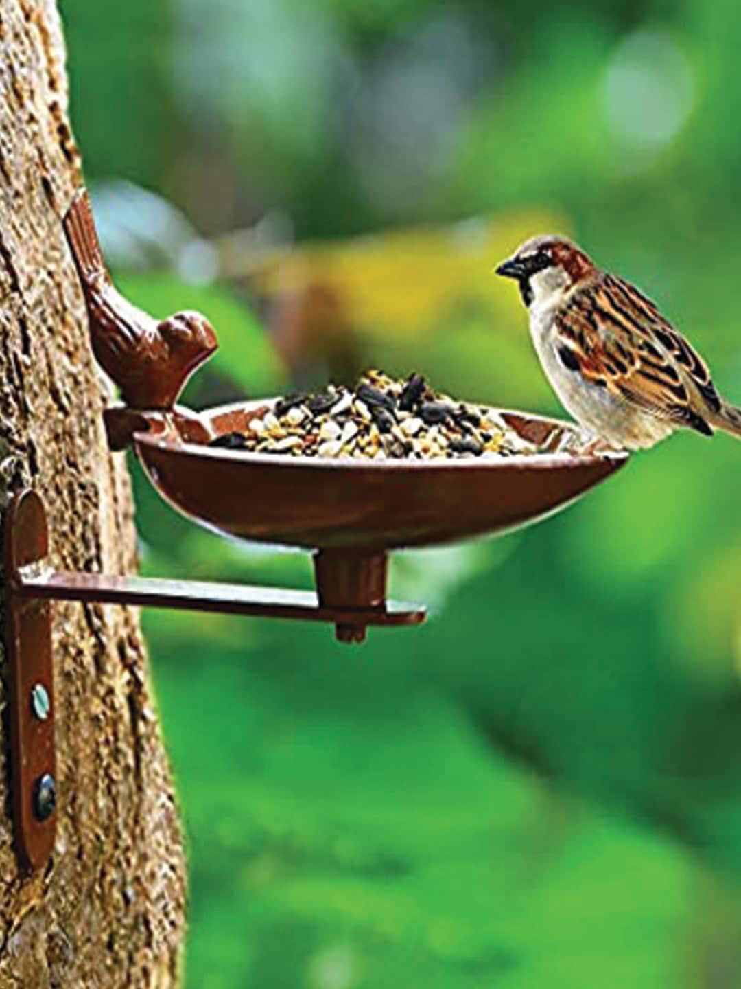 Sharpex Set Of 2 Brown Steel Plant Hanger Bird Feeder