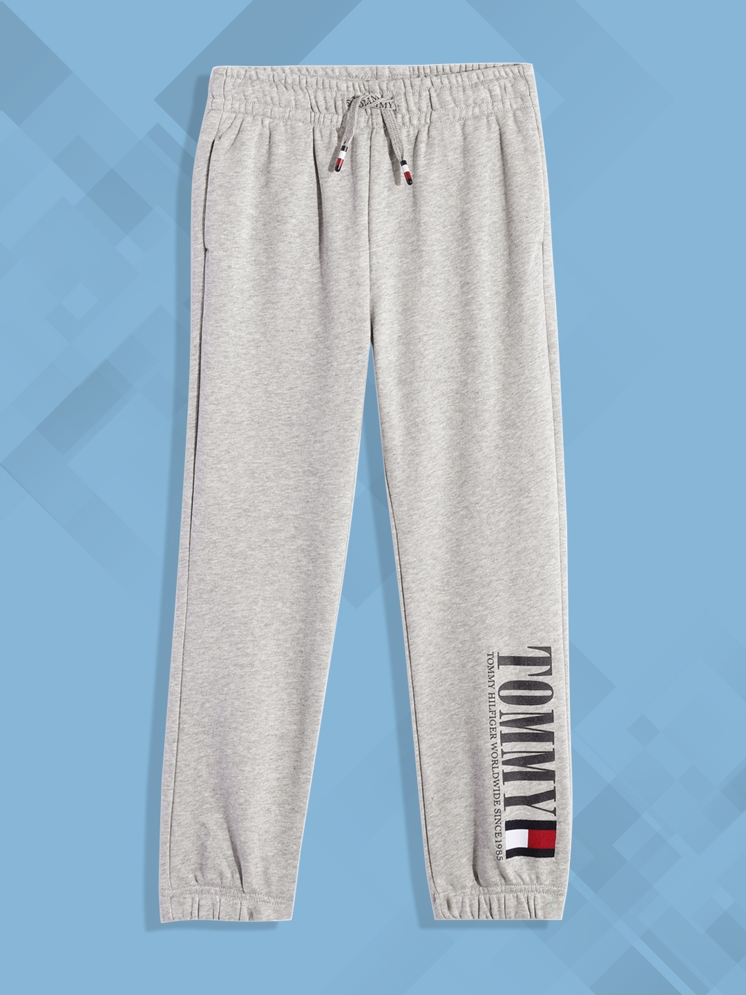 Tommy hilfiger online joggers boys