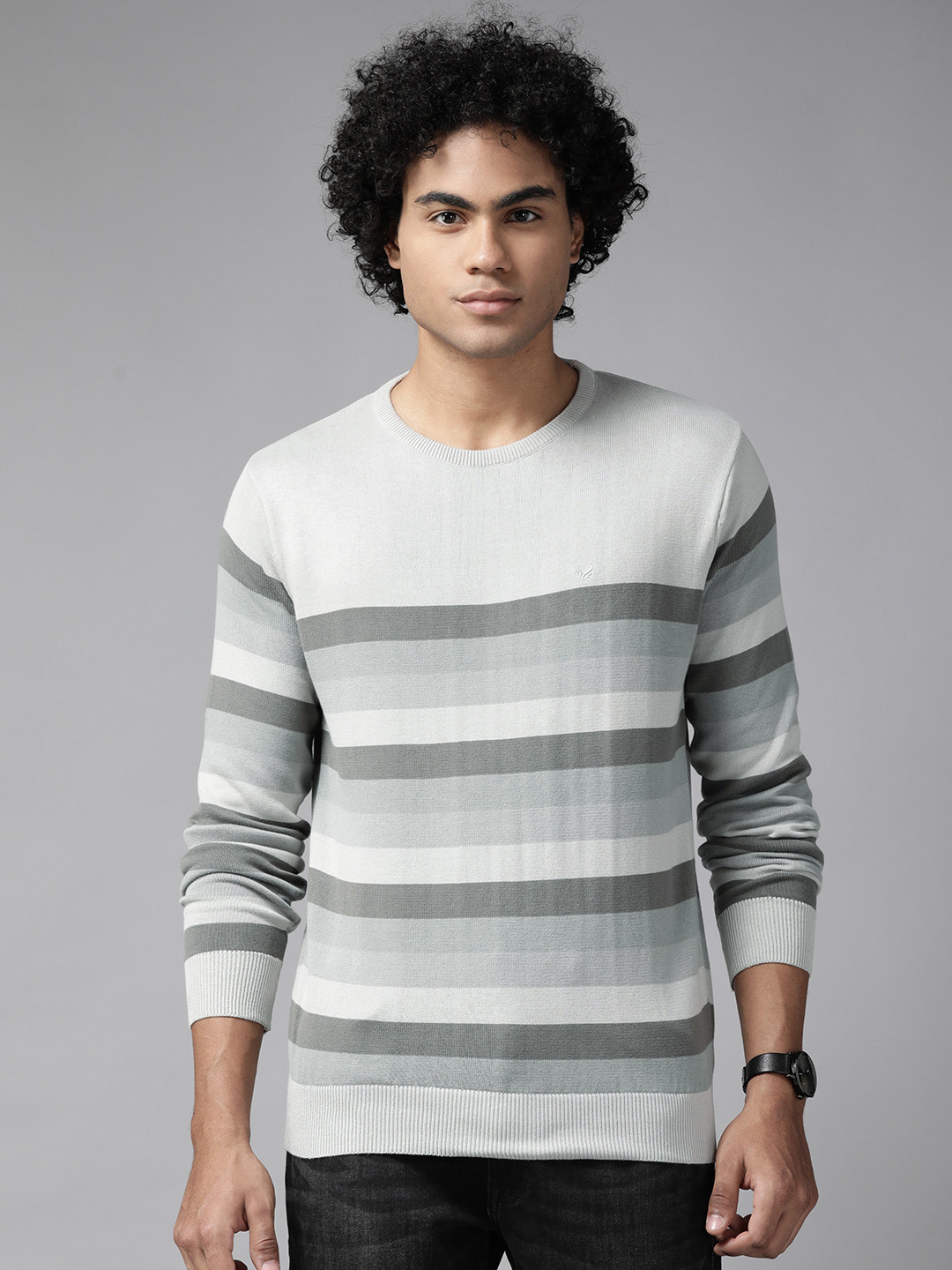 Blackberrys Men Grey & Green Pure Cotton Striped Pullover