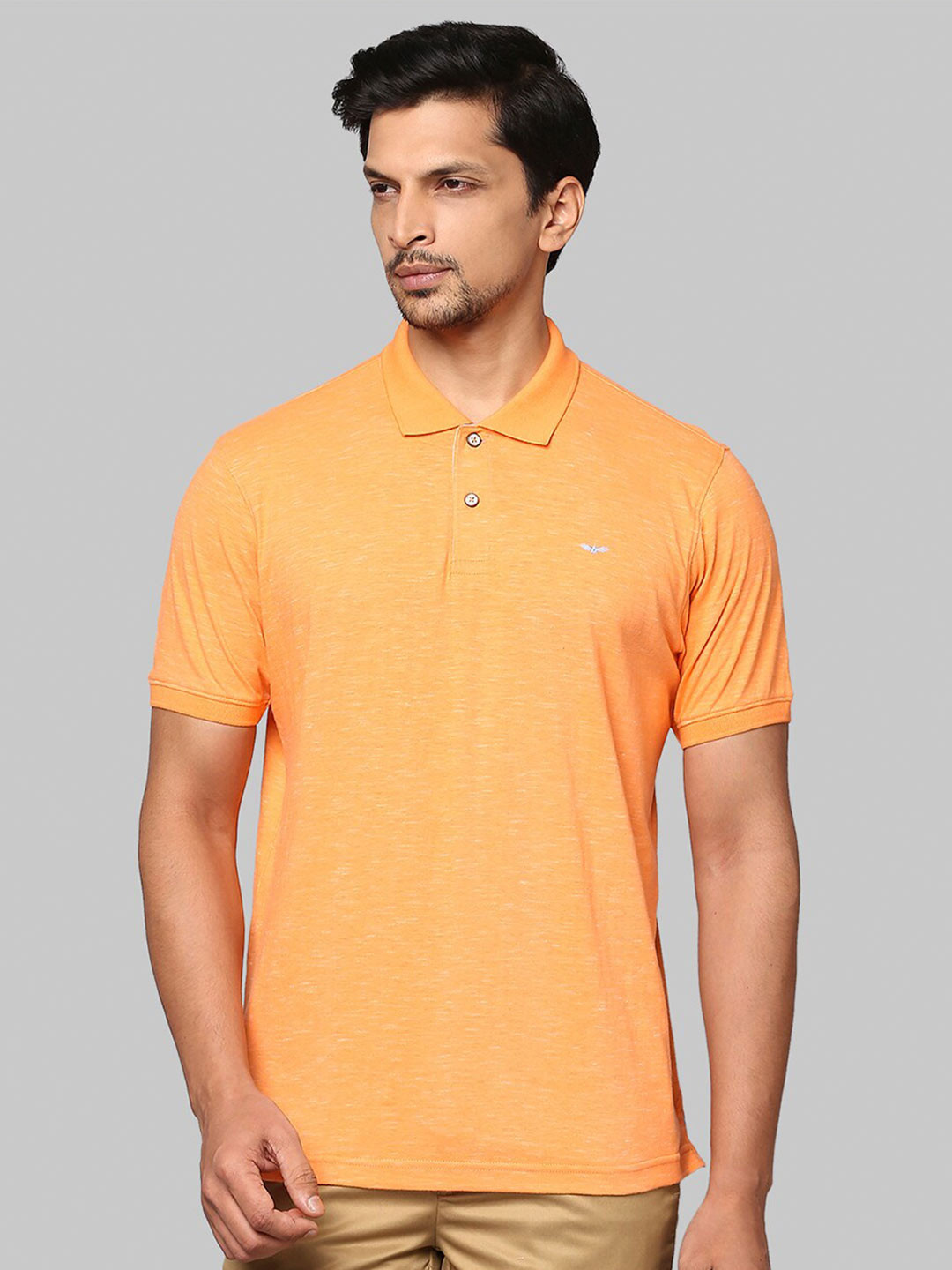 Park Avenue Men Orange & very light tangelo Polo Collar Slim Fit T-shirt