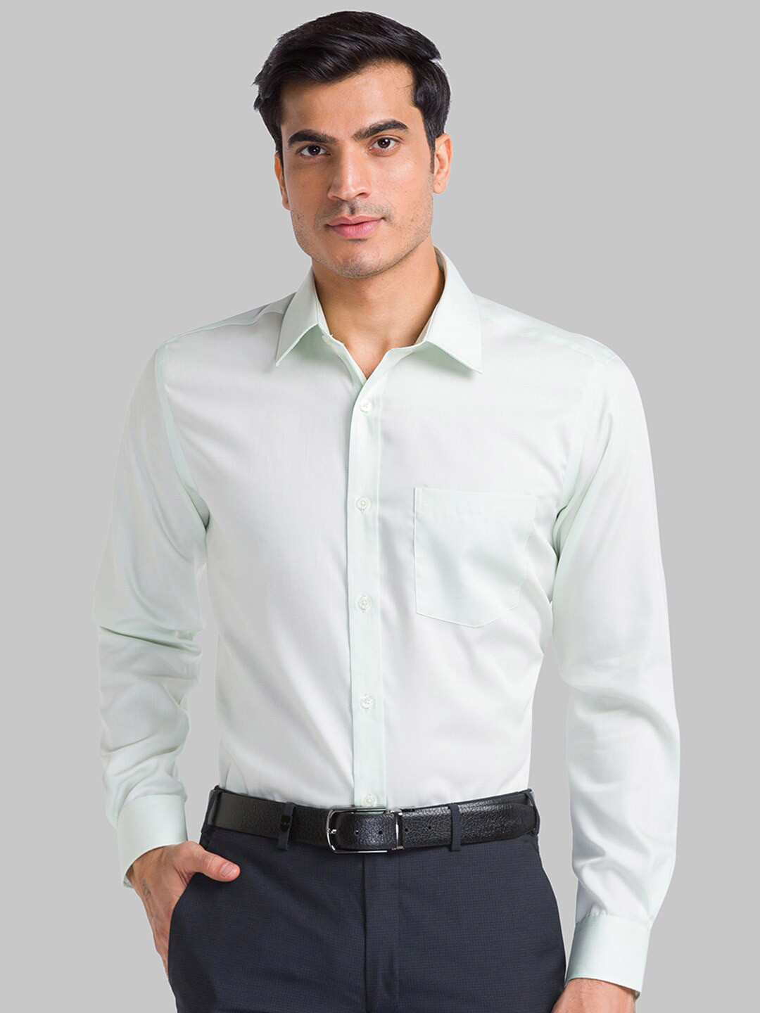 Park Avenue Men Green Formal Shirt