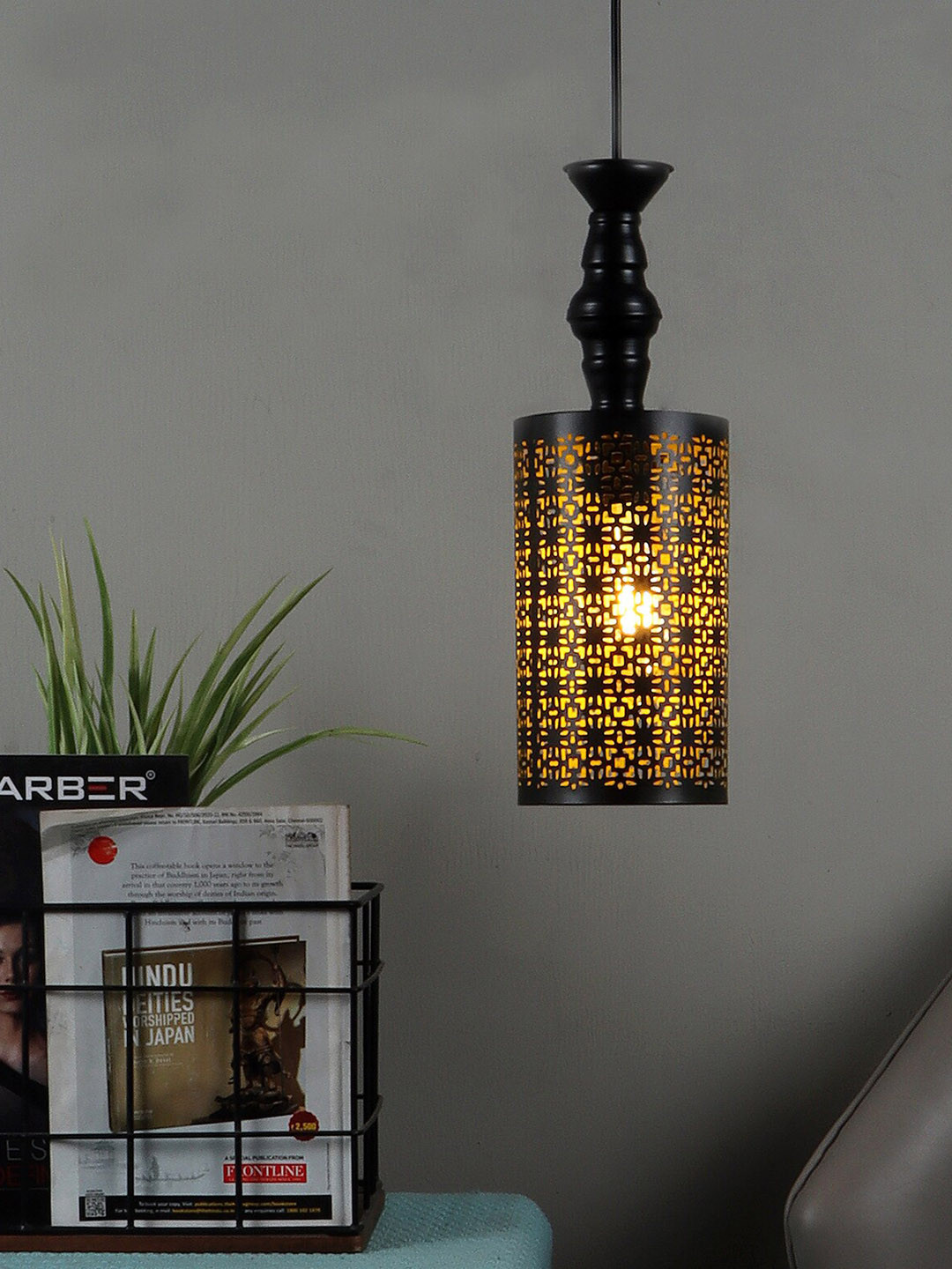 MFD HOME FURNISHING Unisex Black Ceiling Lamps