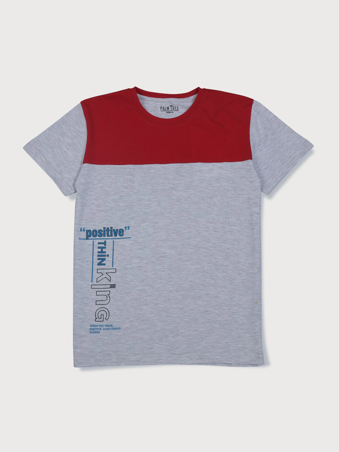 Palm Tree Boys Grey & Maroon Typography T-shirt