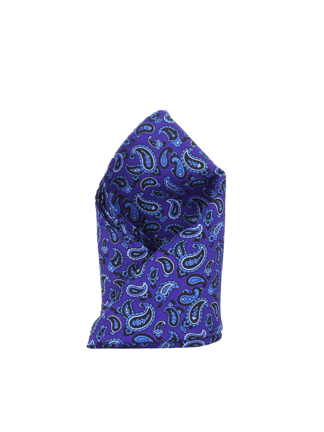Alvaro Castagnino Blue Paisley Print Pocket Square