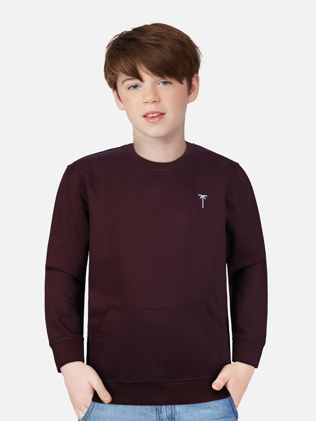 Palm Tree Boys Maroon Full Sleeves Sweatshirt
