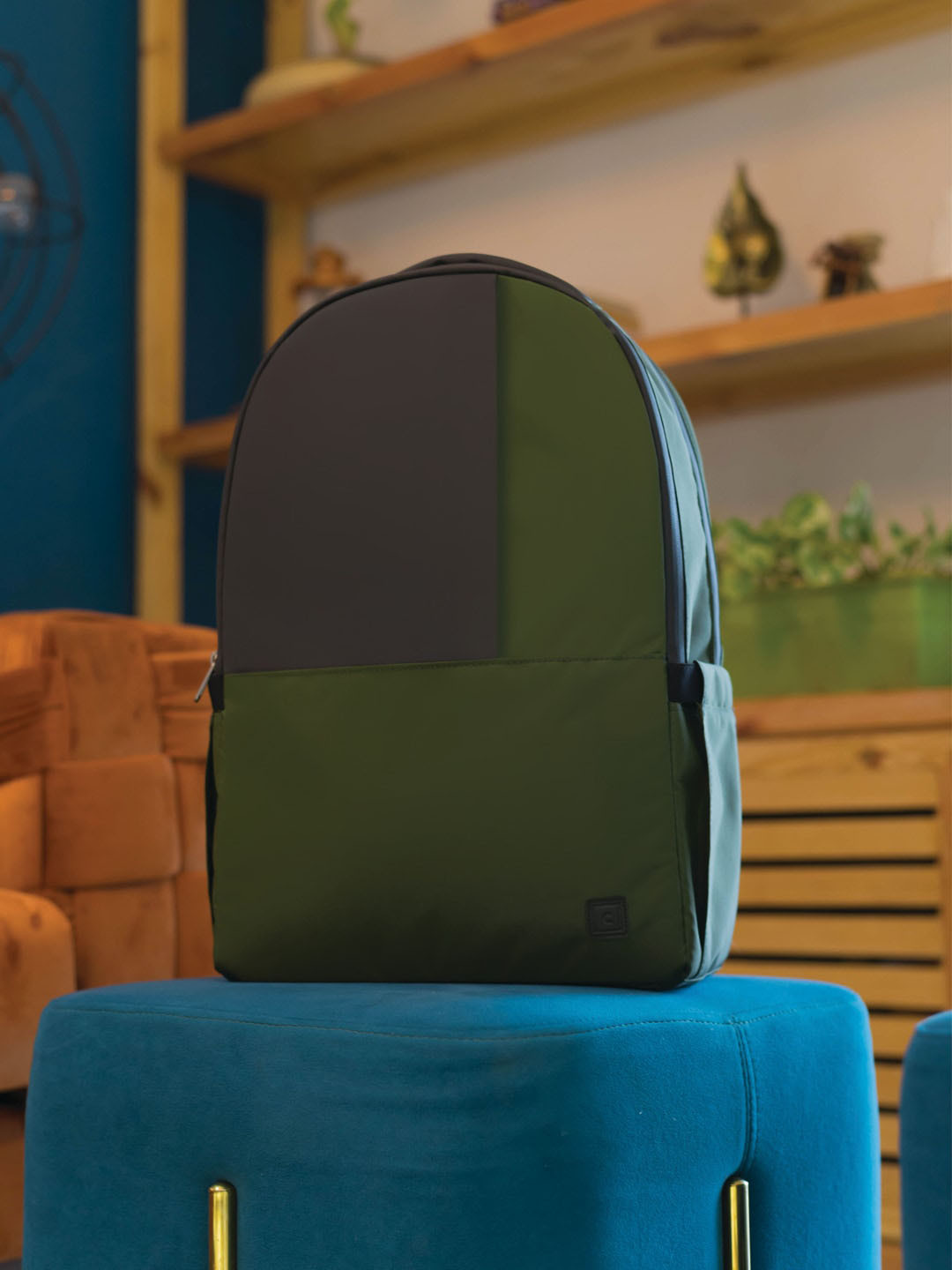 CARRIALL Unisex Olive Green & Grey Backpack