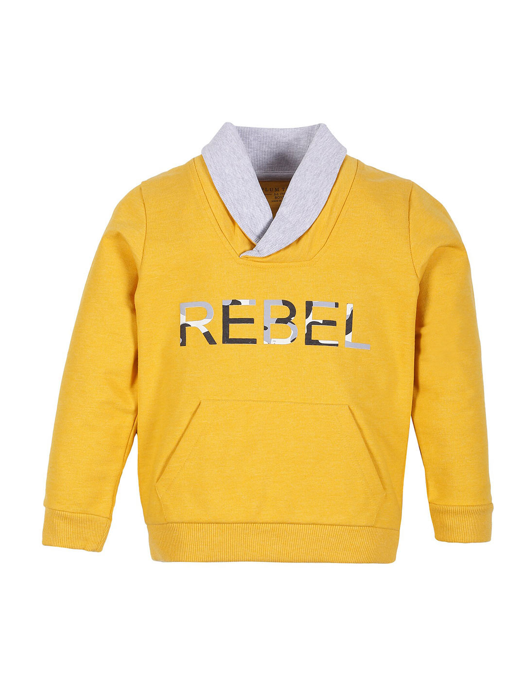 PLUM TREE Boys Yellow Printed Pull Over Sweatshirt