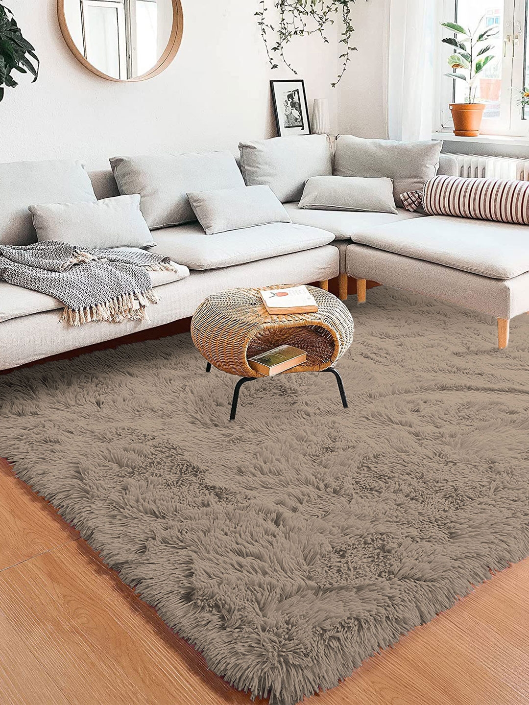 Carpets at mr price home sale