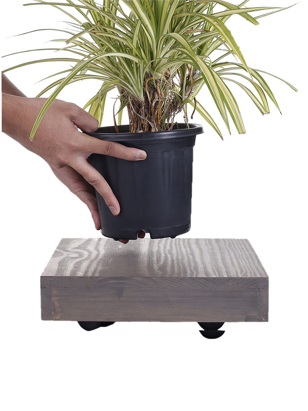 Sharpex Pack of 4 Grey Self Design Wooden Plant Stand