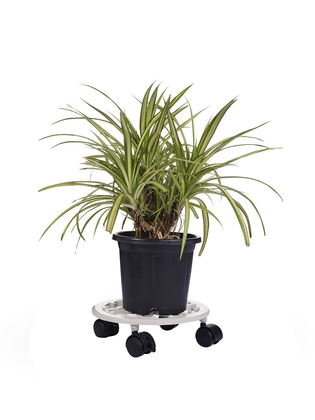 Sharpex Set of 2 White Textured Metal Round Rack Plant Stand