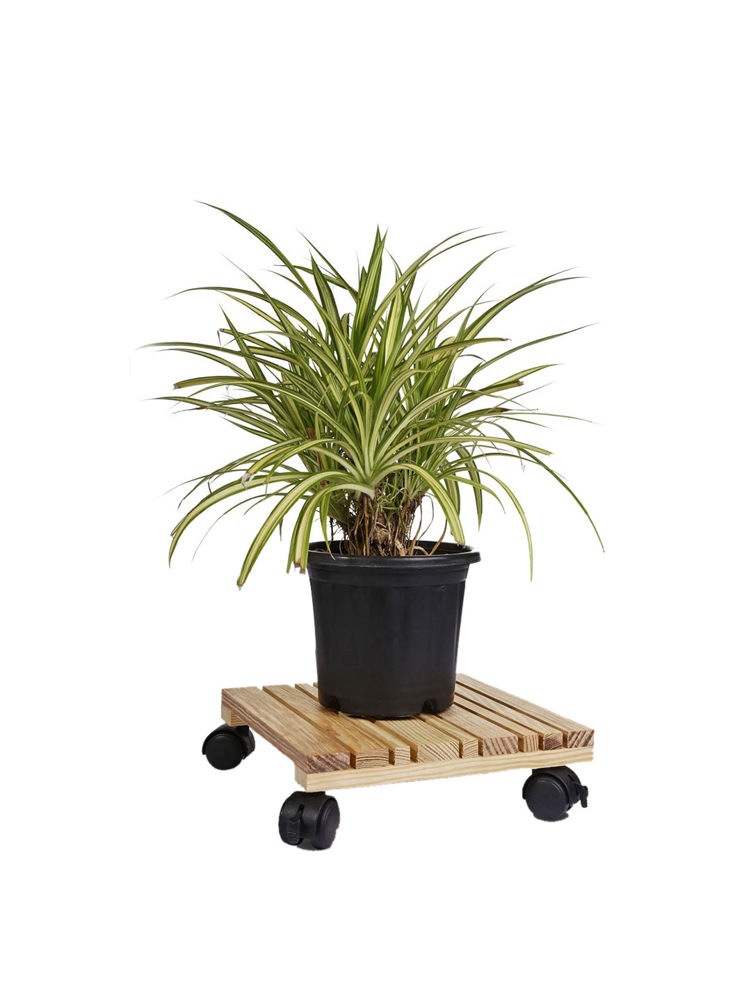 Sharpex Set of 4 Brown Textured Wooden Square Plant Stand