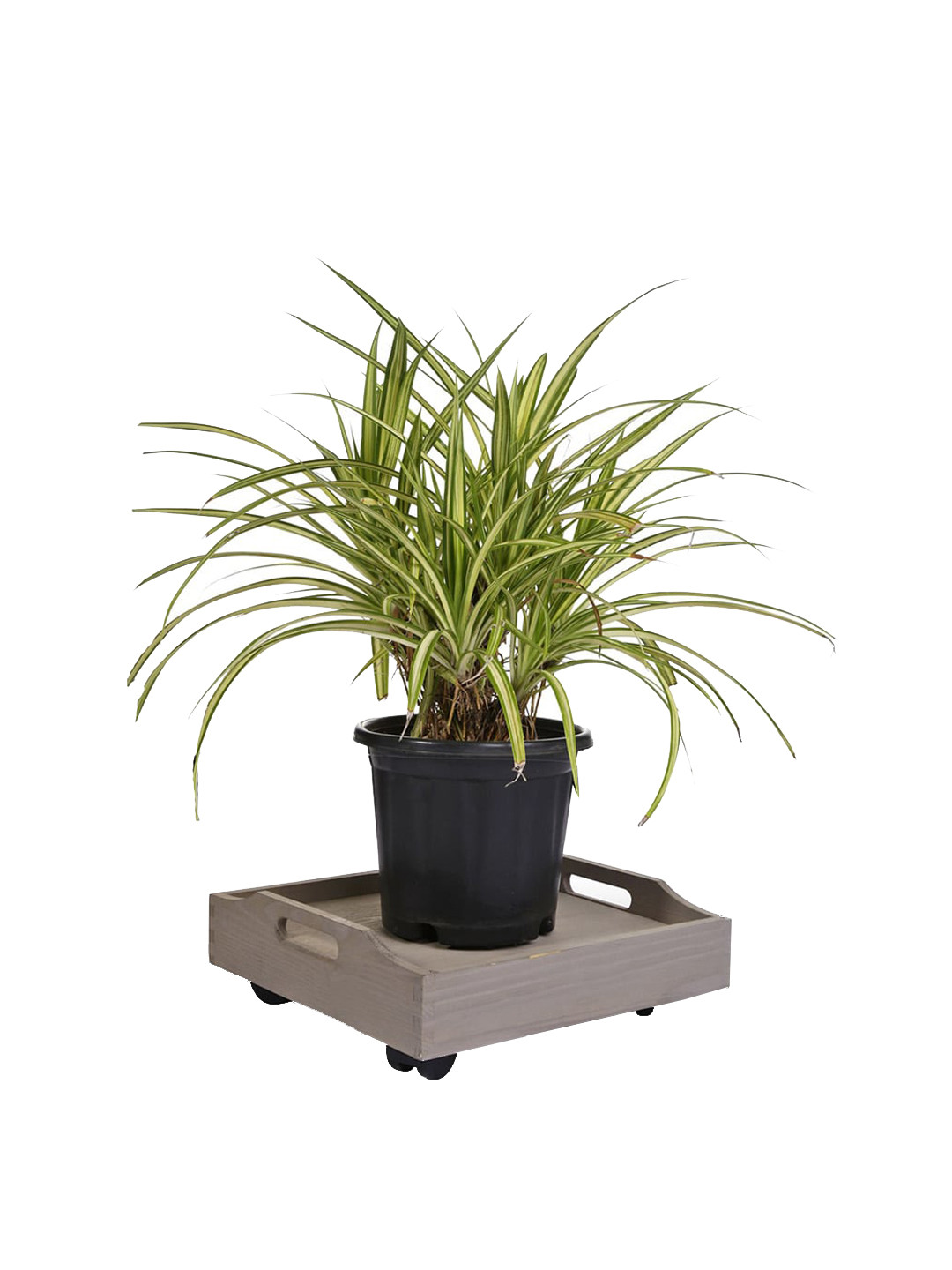 Sharpex Grey Square Wooden Plant Stand Garden Accessories With 360-Degree Wheels