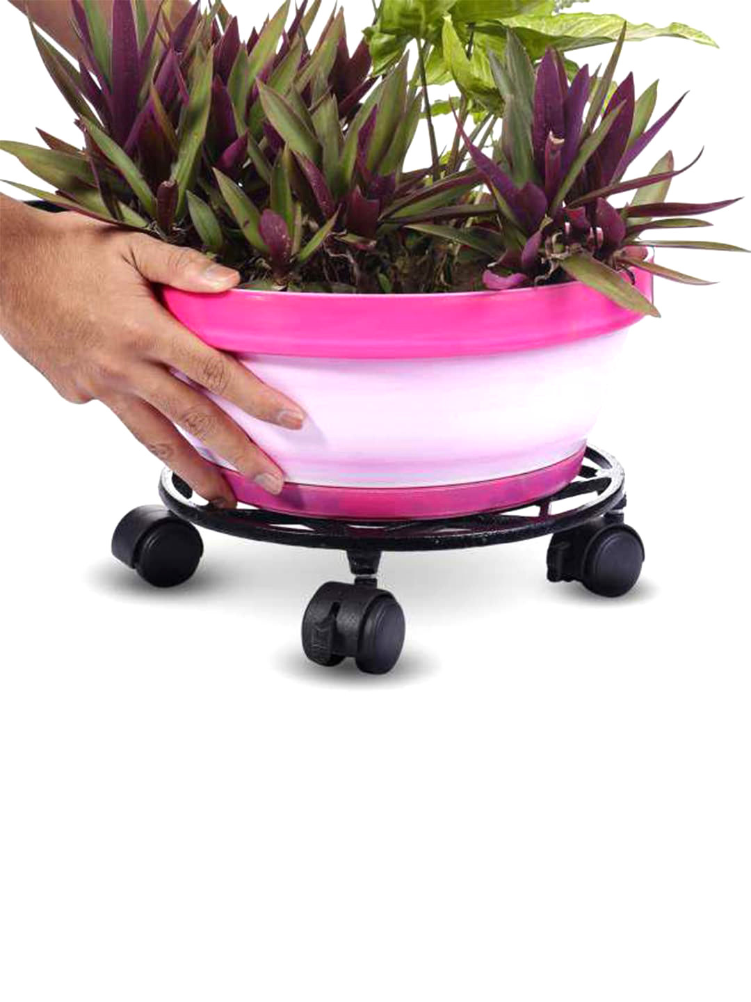 Sharpex Set Of 4 Black Solid Dolly Round Rack