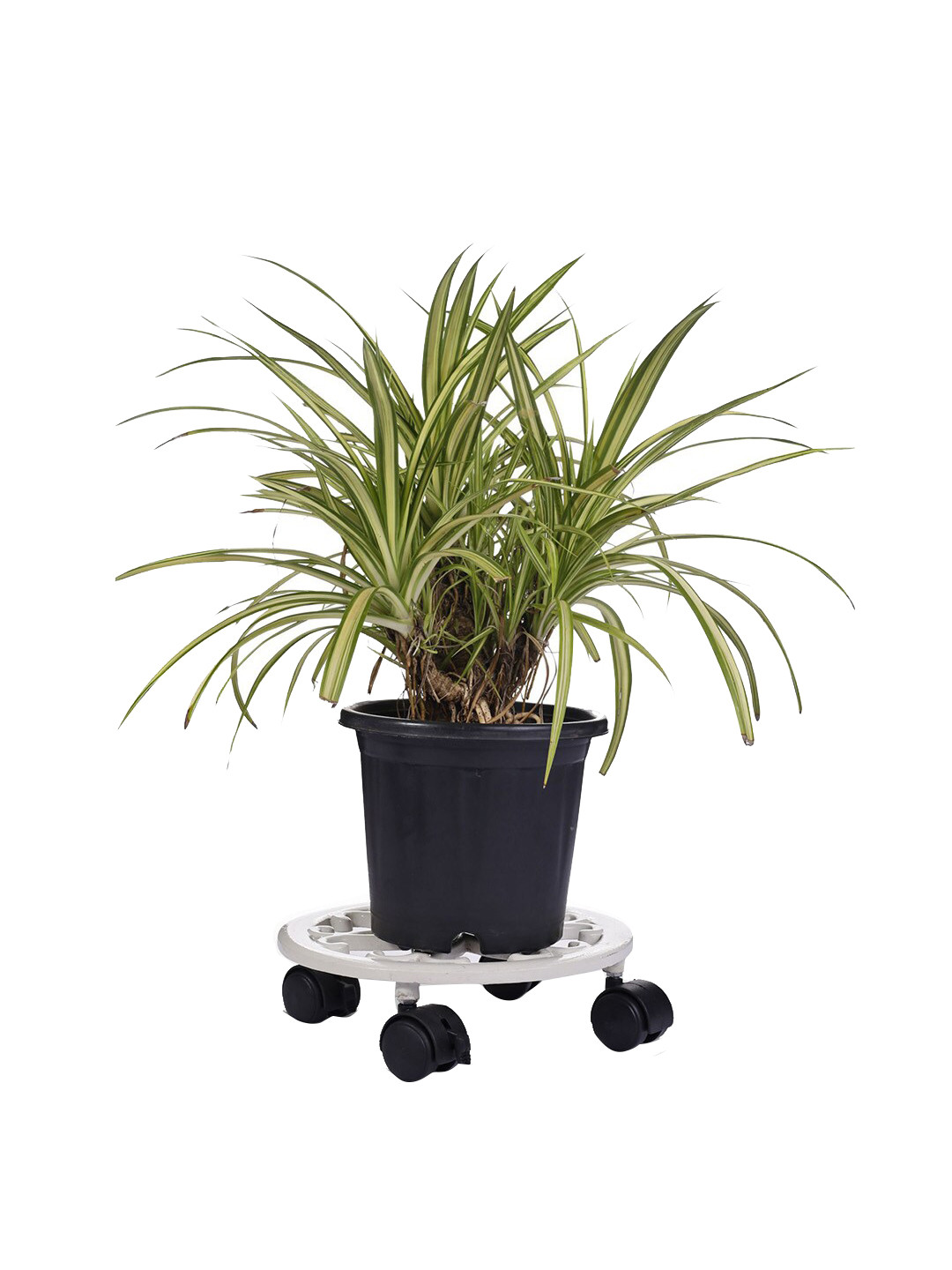 Sharpex White Dolly Round Rack Garden Accessories