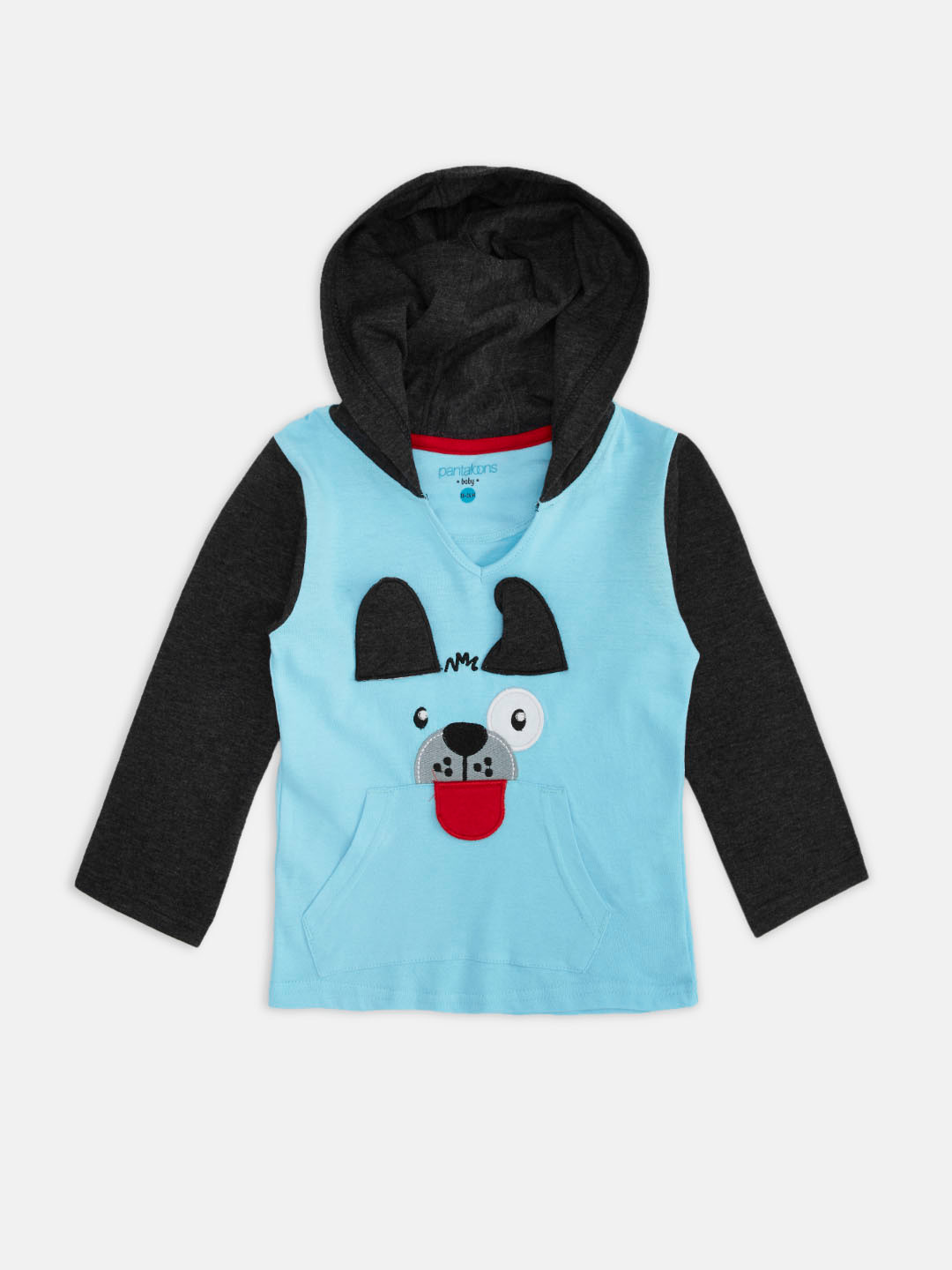 Pantaloons Kids Hooded Tshirt