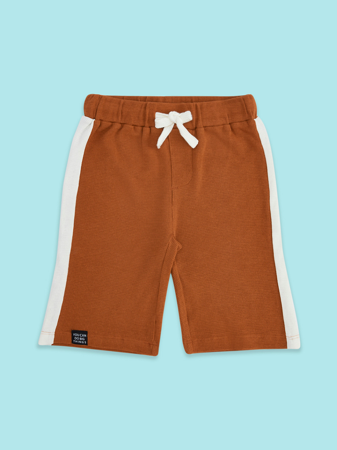 Pantaloons Junior Boys Rust Cotton Shorts
