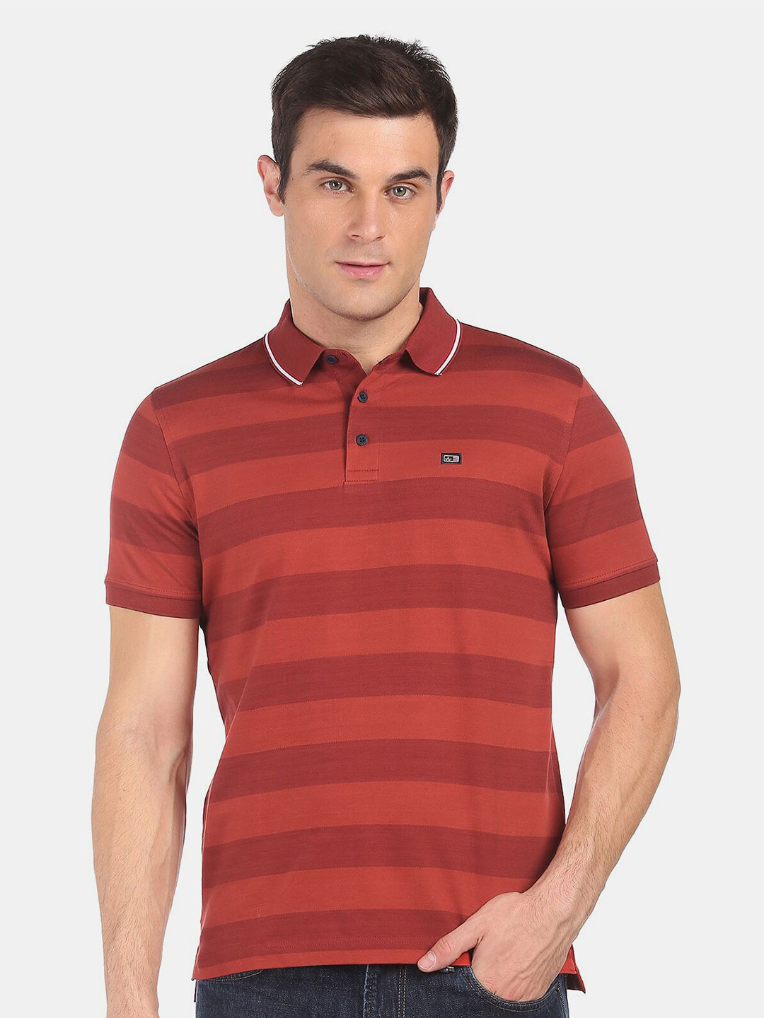 Arrow Sport Men Rust Striped Polo Collar T-shirt