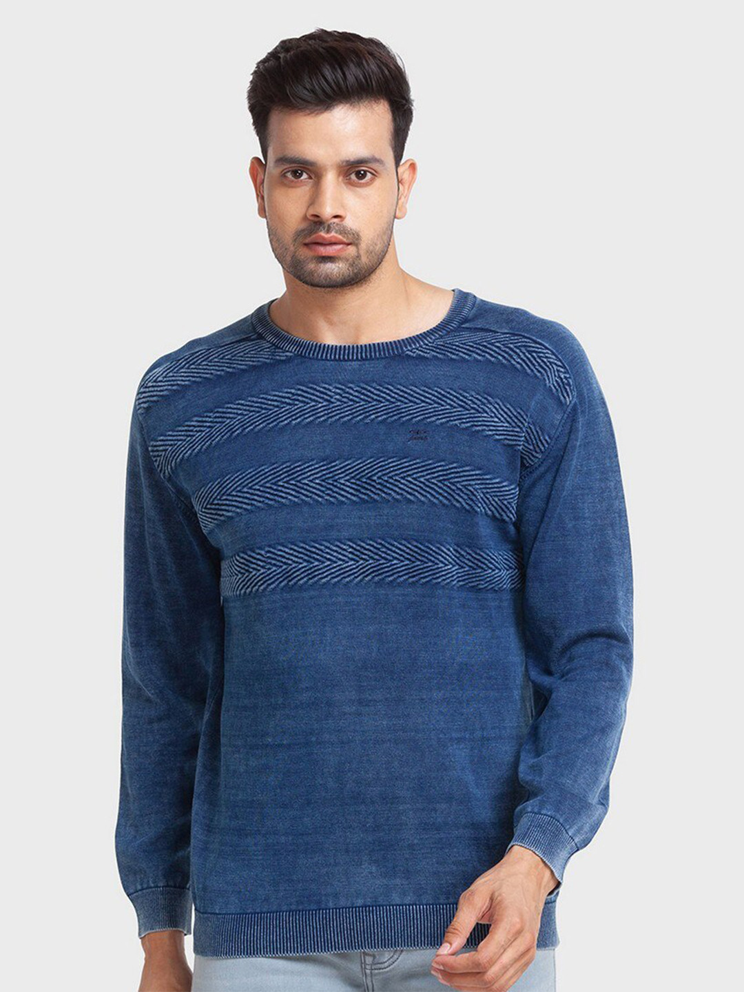 ColorPlus Men Round Neck Self Design Cotton Pullover