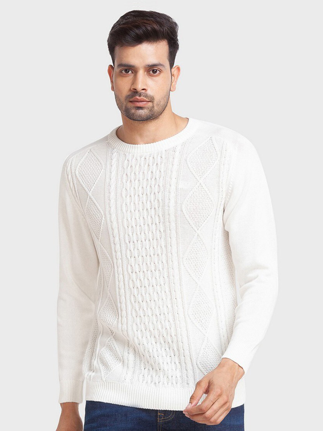 ColorPlus Men Plus Size White Cable Knit Pullover