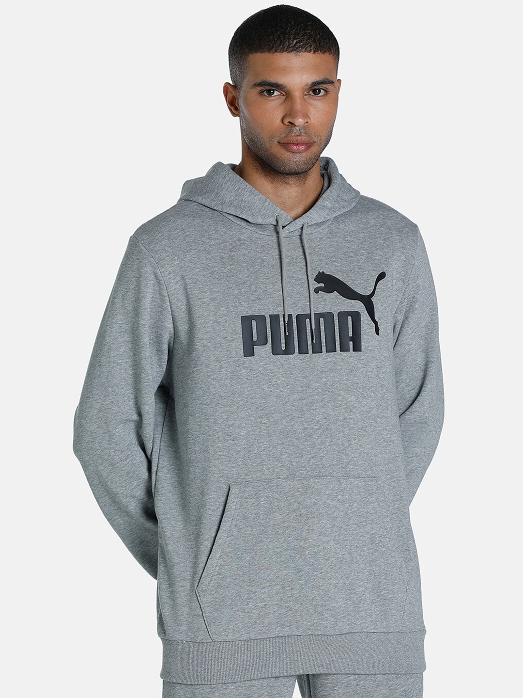 Buy Puma Men Grey Essential Big Logo Regular Fit Hoodie Sweatshirt Sweatshirts for Men 19945224 Myntra