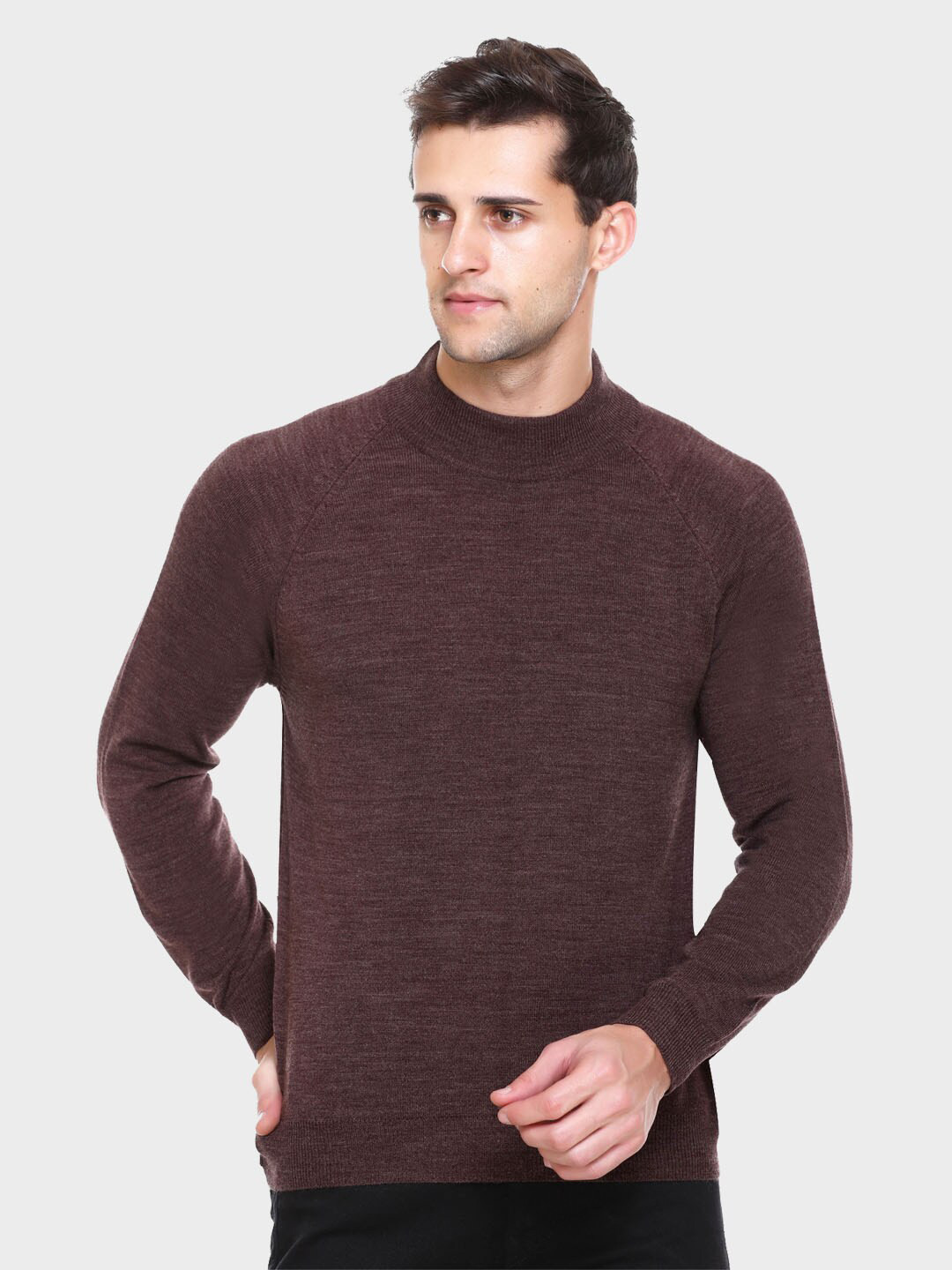 aarbee Men Burgundy Solid Pullover