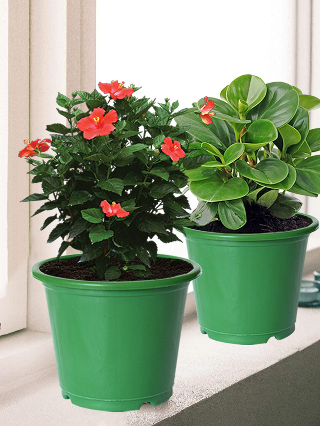 Kuber Industries Set Of 8 Green Solid Layered Plastic Flower Pot With Drainage Hole