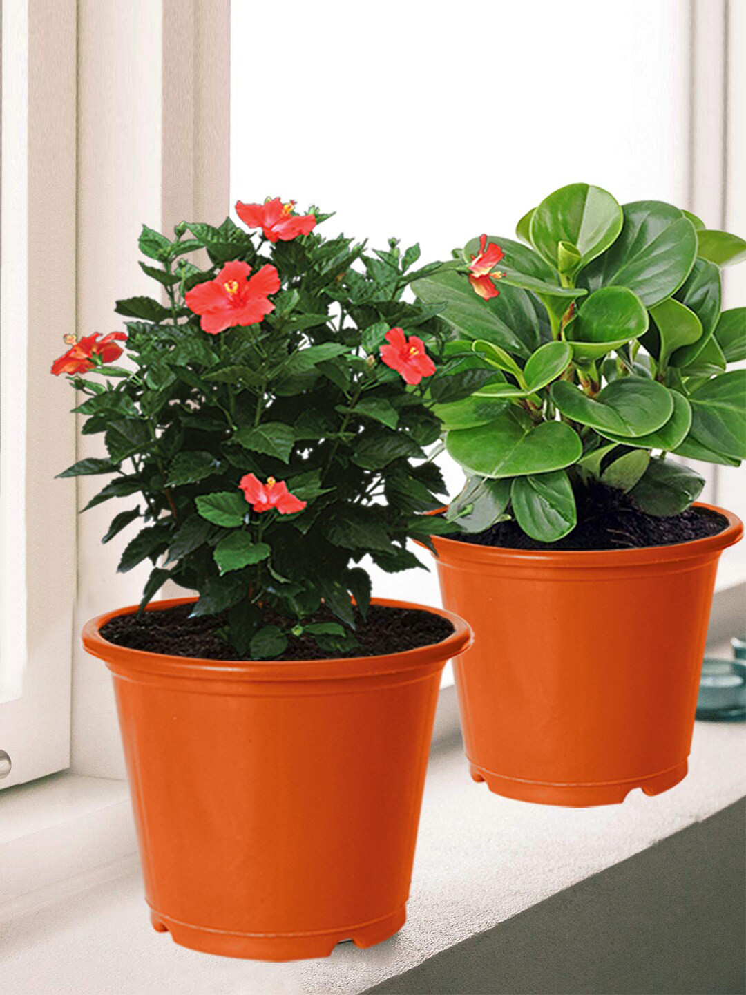 Kuber Industries Pack of 8 Orange Solid Plastic Planters With Drainage Hole