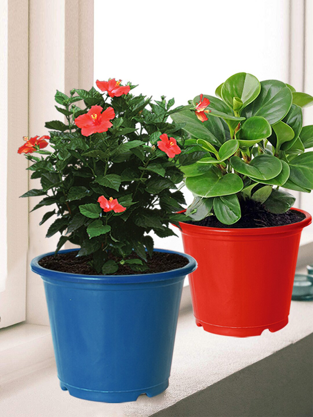 Kuber Industries Pack of 4 Solid Plastic Planters With Drainage Hole