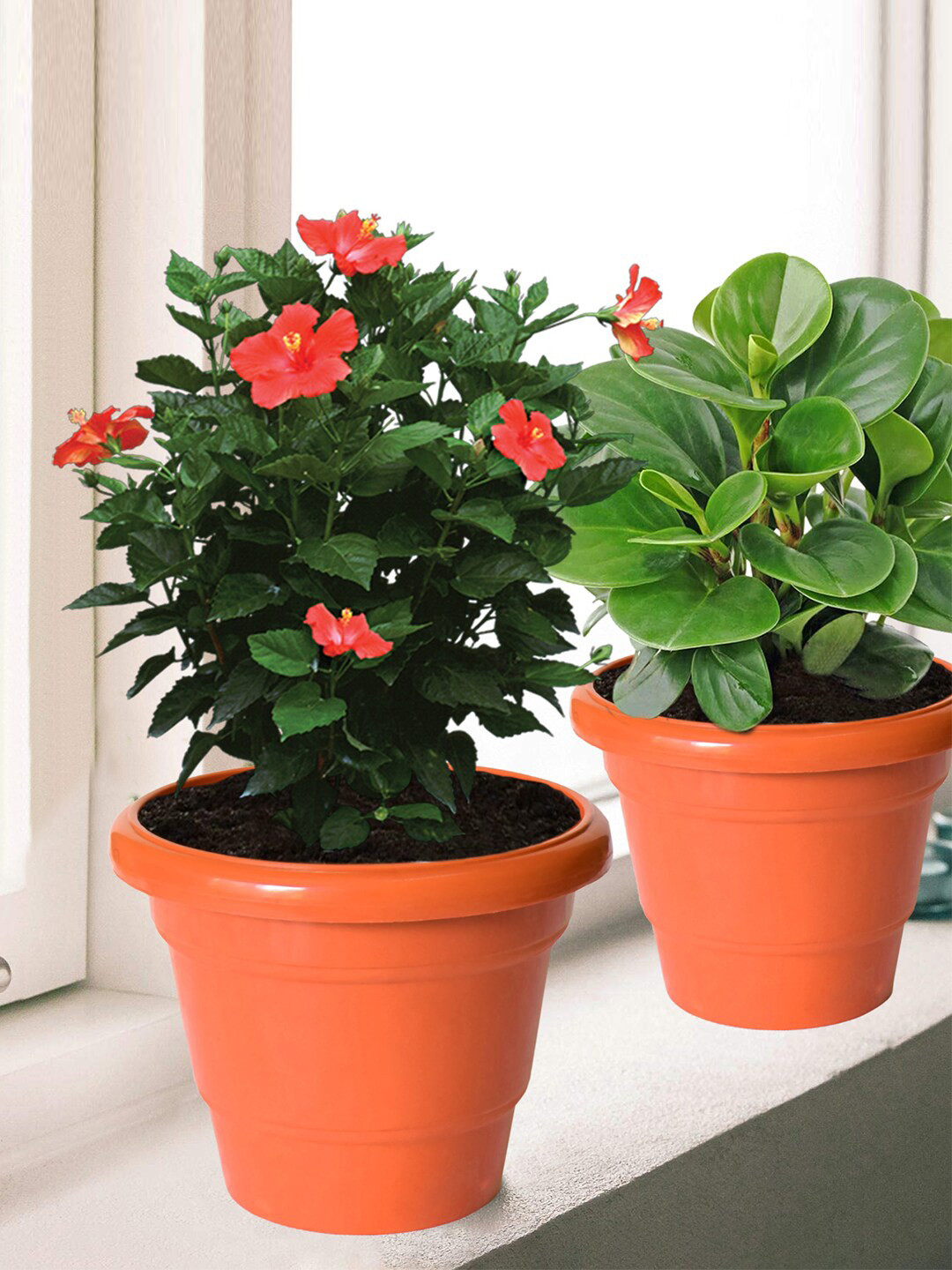 Kuber Industries Pack of 8 Orange Solid Layered Plastic Planters With Drainage Hole