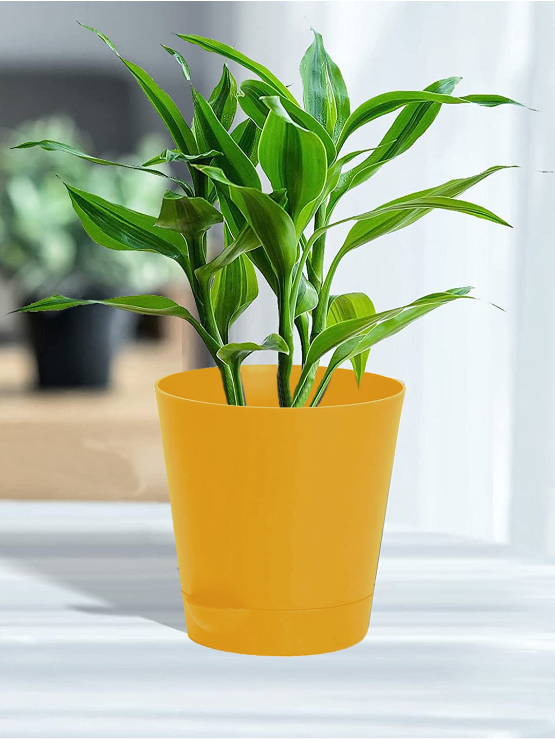 Kuber Industries 6 Pieces Mustard Yellow Plastic Titan Pot Flower Pots